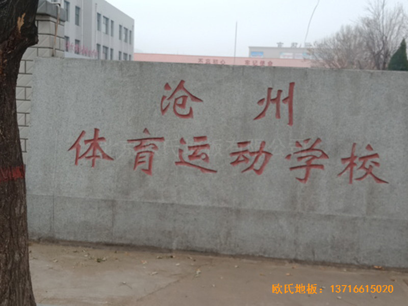 ӱѧУ˶ľذ尲װ0